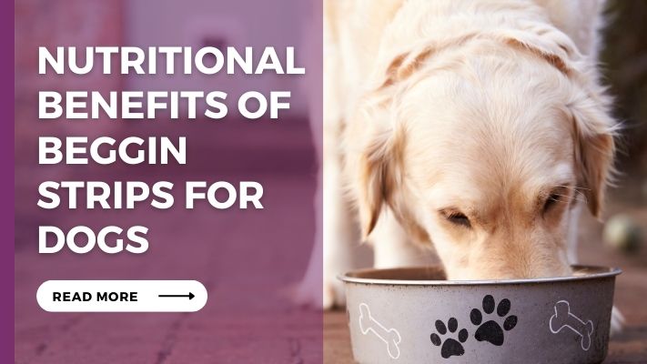 Nutritional Benefits of Beggin Strips for Dogs