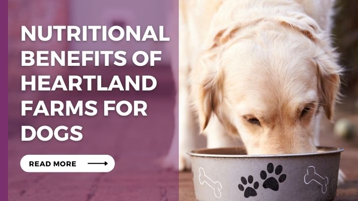 Nutritional Benefits of heartland farms for Dogs