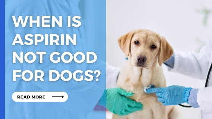 When Is Aspirin Not Good for Dogs