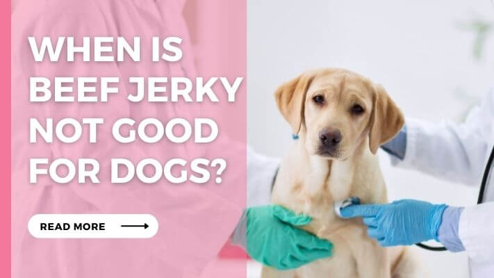 When Is Beef Jerky Not Good for Dogs