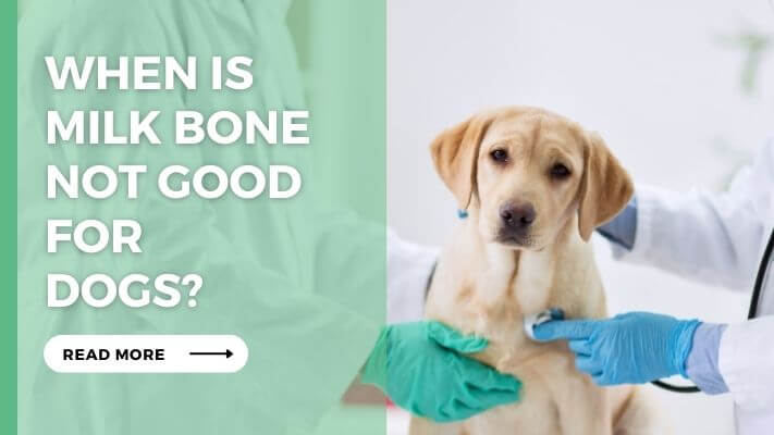 When Is Milk Bone Not Good for Dogs