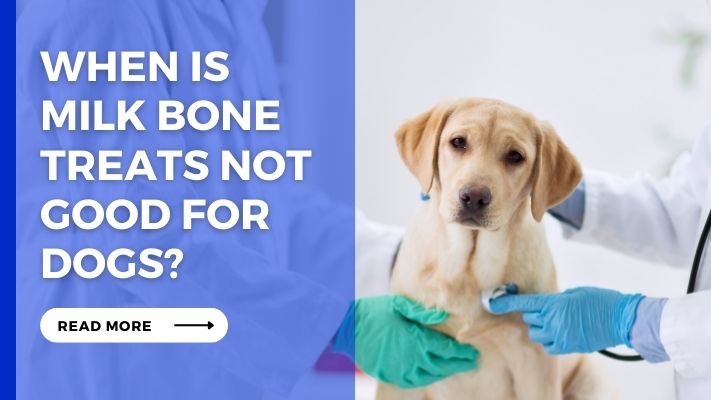 When Is Milk Bone Treats Not Good for Dogs