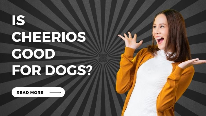 Is Cheerios Good for Dogs?