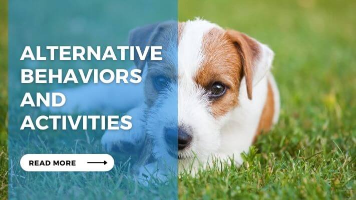 Alternative Behaviors and Activities