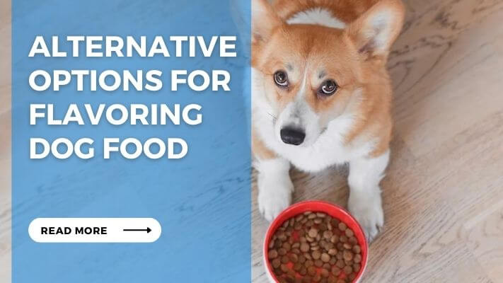 Alternative Options for Flavoring Dog Food