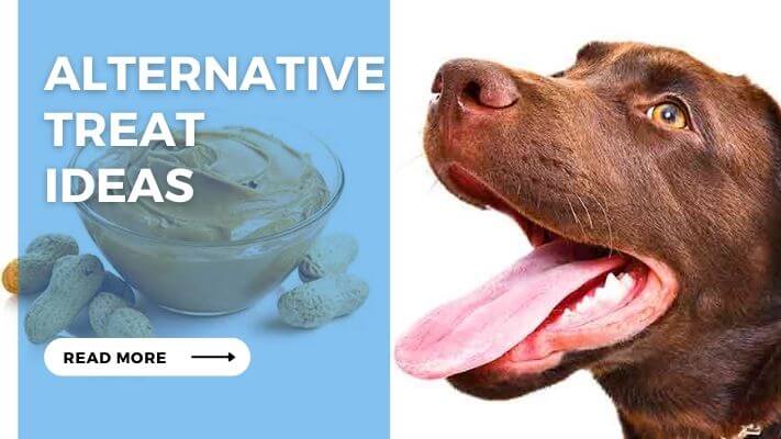 Alternative Treat  Ideas