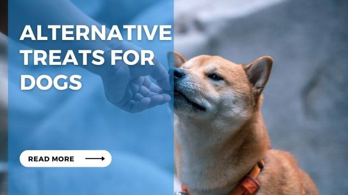 Alternative Treats for Dogs