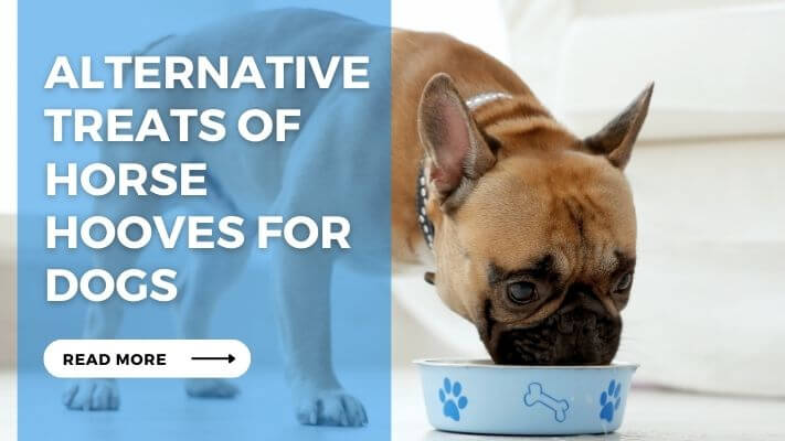 Alternative Treats of Horse Hooves for Dogs