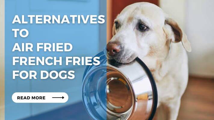 Alternatives to Air Fried French Fries for Dogs