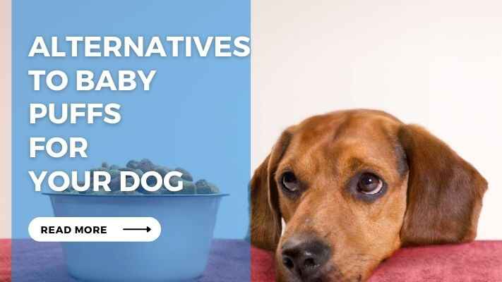 Alternatives to Baby Puffs for Your Dog