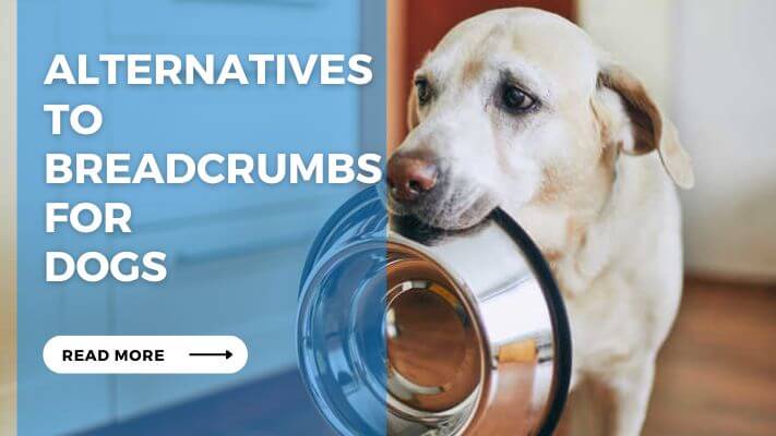 Alternatives to Breadcrumbs for Dogs