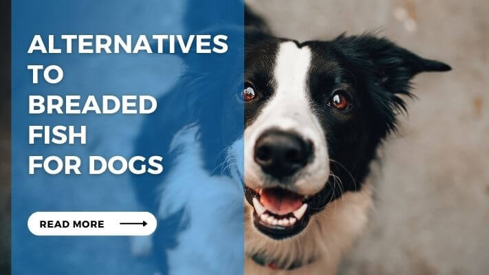 Alternatives to Breaded Fish for Dogs