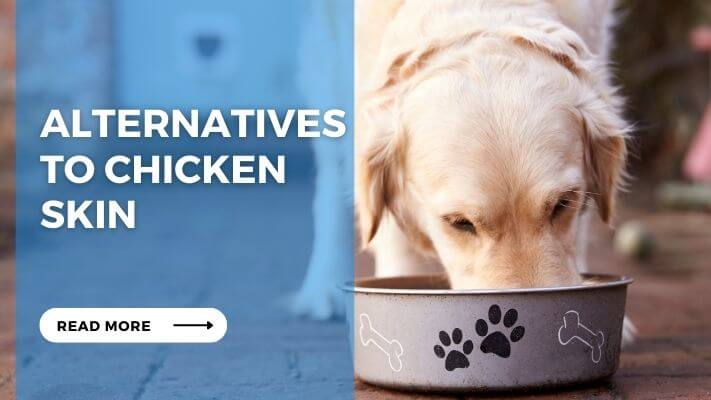 Alternatives to Chicken Skin