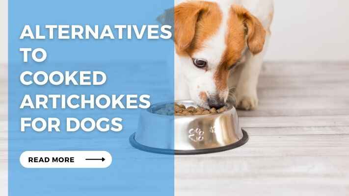 Alternatives to Cooked Artichokes for Dogs