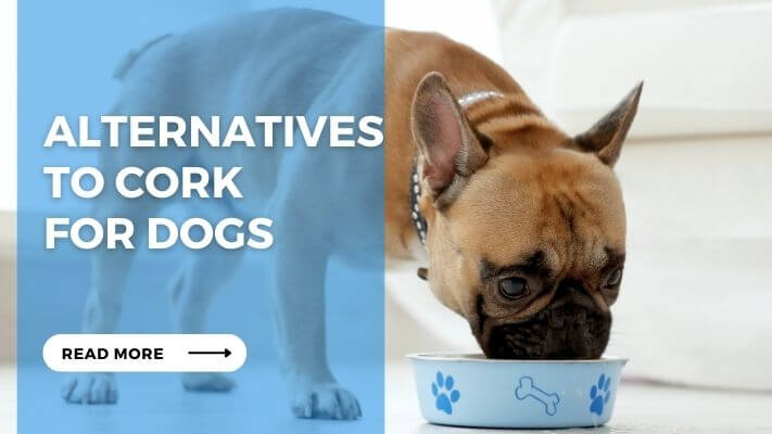 Alternatives to Cork for Dogs