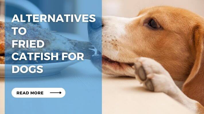 Alternatives to Fried Catfish for Dogs