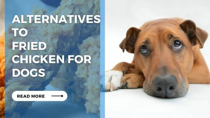 Alternatives to Fried Chicken for Dogs