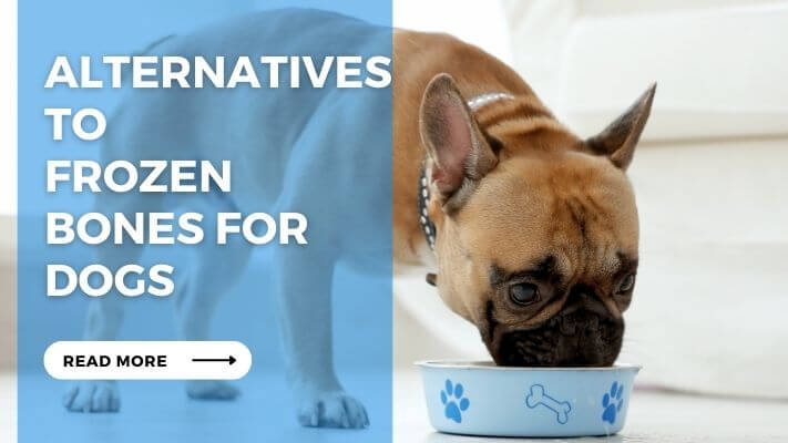 Alternatives to Frozen Bones for Dogs