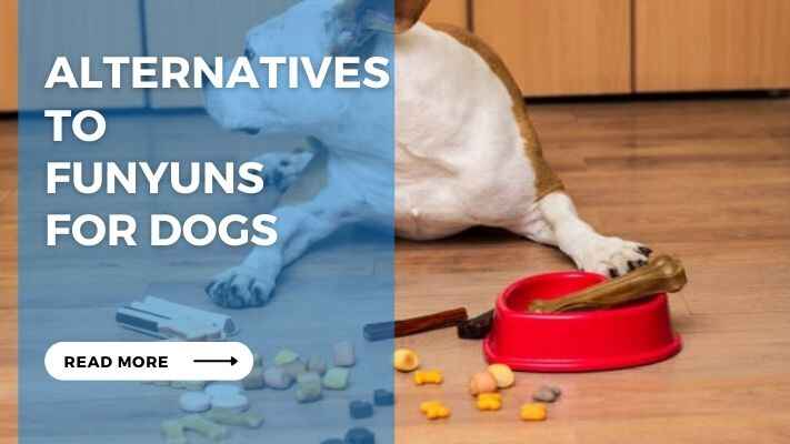 Alternatives to Funyuns for Dogs