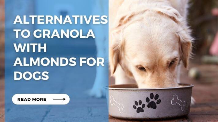 Alternatives to Granola with Almonds for Dogs