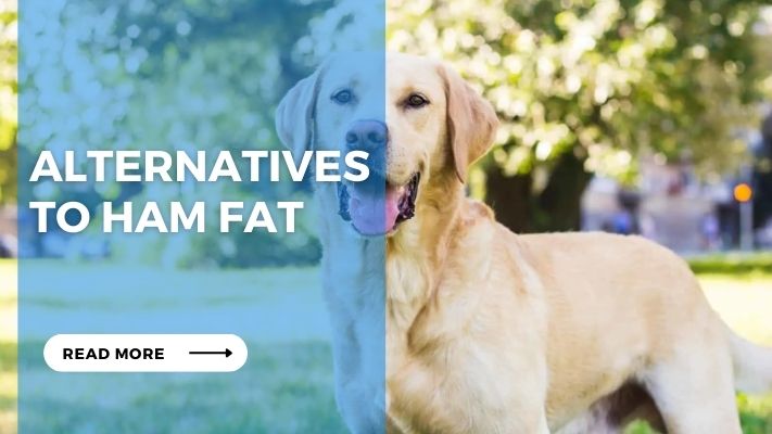 Alternatives to Ham Fat