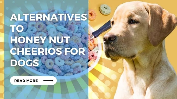 Alternatives to Honey Nut Cheerios for Dogs