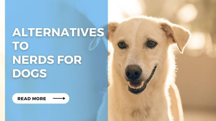 Alternatives to Nerds for Dogs