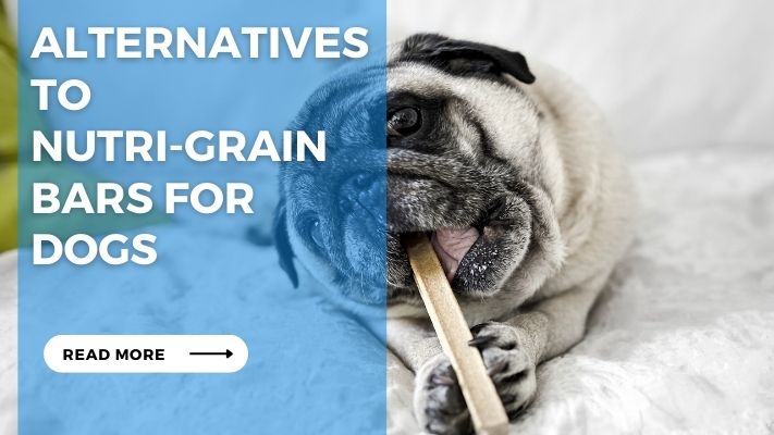 Alternatives to Nutri-Grain Bars for Dogs