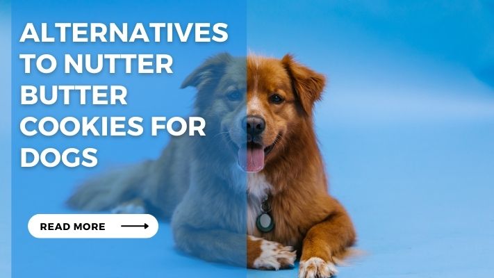 Alternatives to Nutter Butter Cookies for Dogs