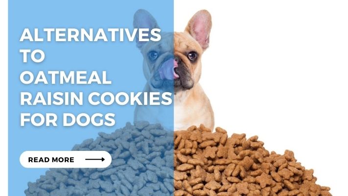 Alternatives to  Oatmeal Raisin Cookies for Dogs