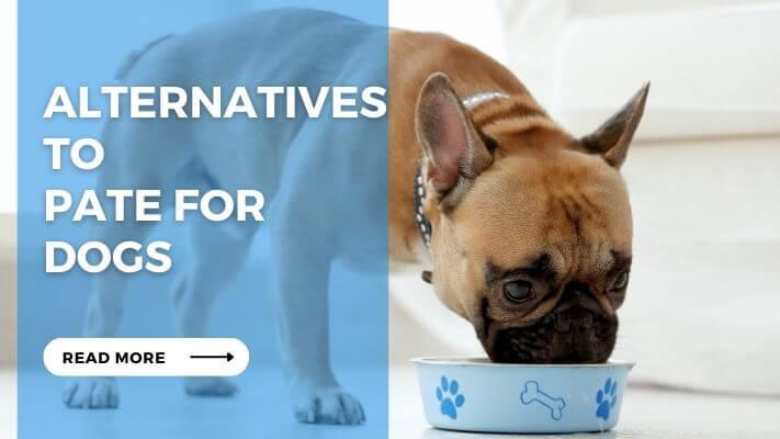 Alternatives to Pate for Dogs