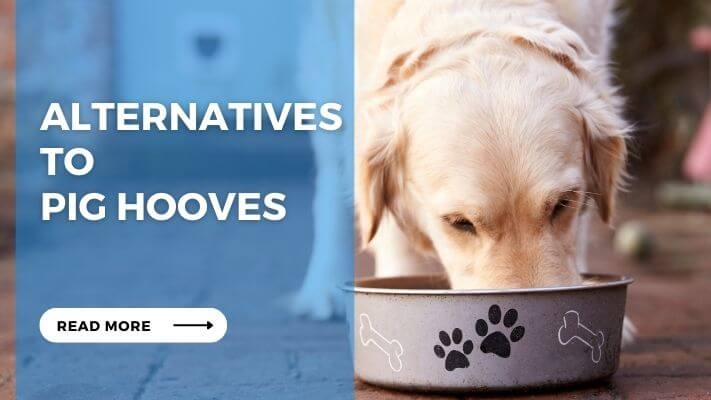 Alternatives to Pig Hooves