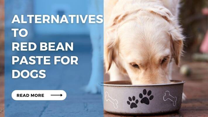 Alternatives to Red Bean Paste for Dogs