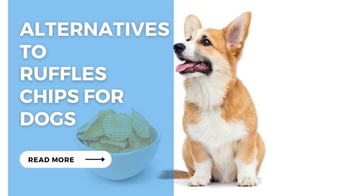 Alternatives to Ruffles Chips for Dogs