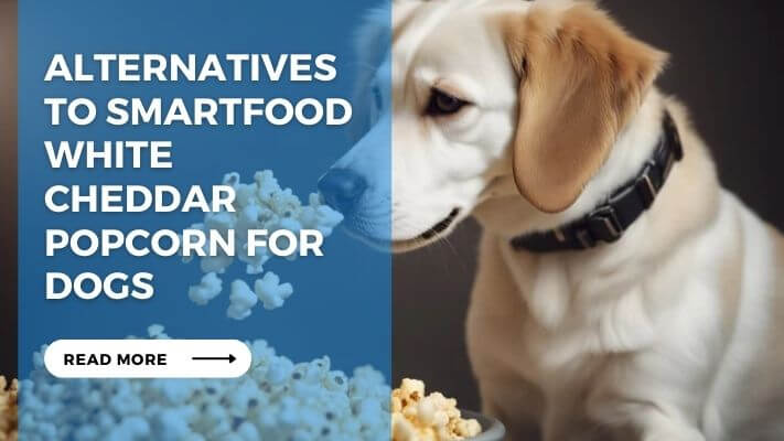 Alternatives to Smartfood White Cheddar Popcorn for Dogs