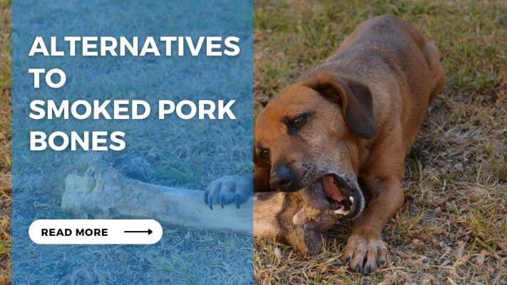 Alternatives to Smoked Pork Bones