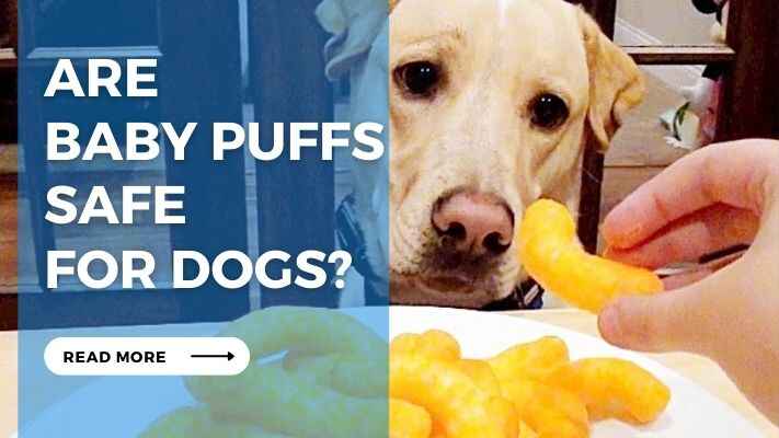 Are Baby Puffs Safe for Dogs