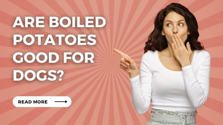 Are Boiled Potatoes Good for Dogs