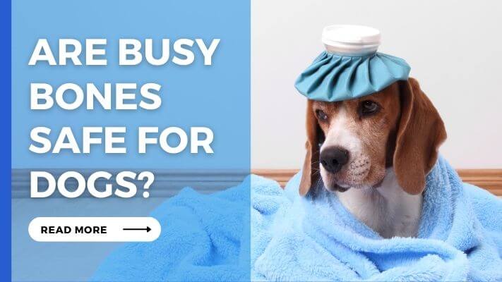 Are Busy Bones Safe For Dogs