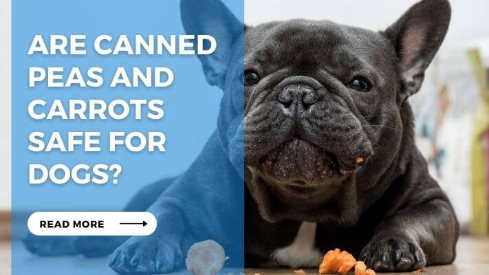 Are Canned Peas And Carrots Safe for Dogs