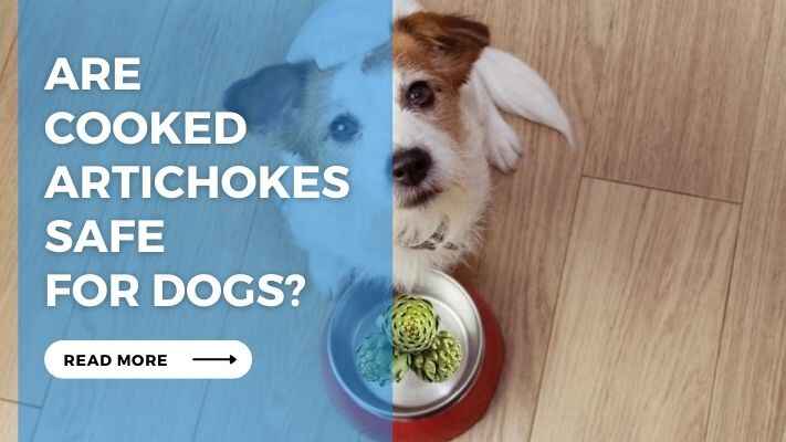 Are Cooked Artichokes Safe for Dogs