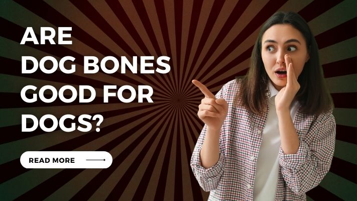 Are Dog Bones Good for Dogs