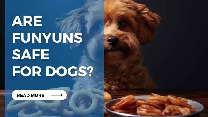 Are Funyuns Safe for Dogs