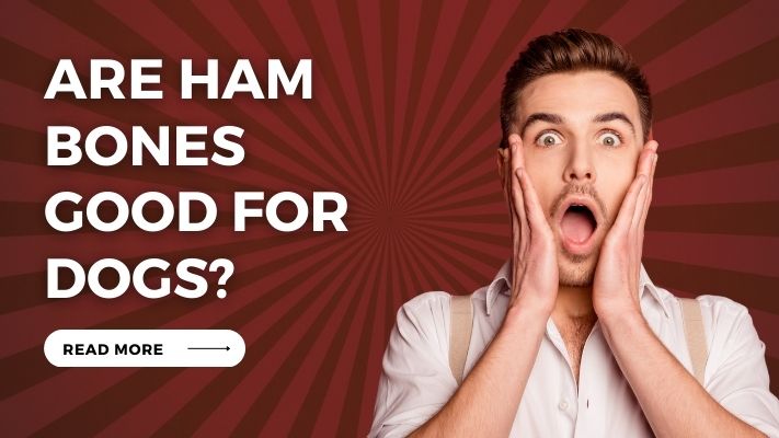 Are Ham Bones Good for Dogs