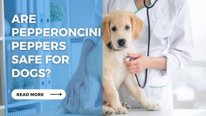 Are Pepperoncini Peppers Safe for Dogs