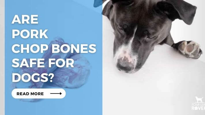 Are Pork Chop Bones Safe for Dogs