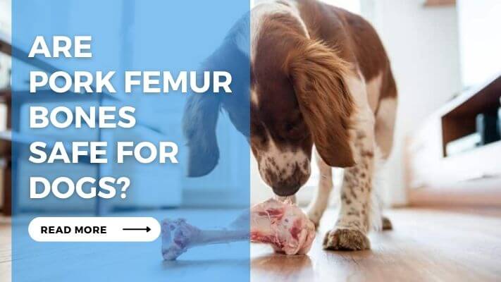 Are Pork Femur Bones Safe for Dogs