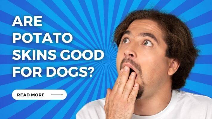 Are Potato Skins Good for Dogs