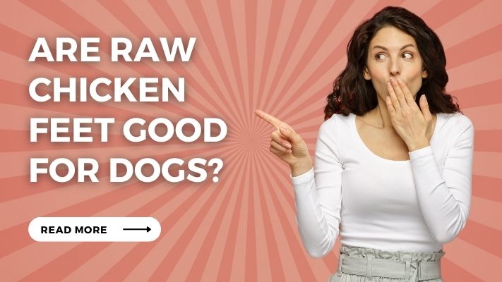 Are Raw Chicken Feet Good for Dogs