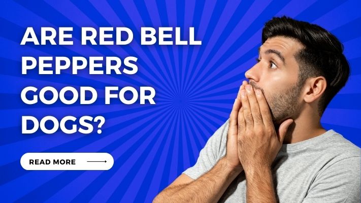Are Red Bell Peppers Good for Dogs
